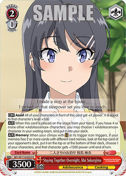 Staying Together Overnight, Mai Sakurajima (SBY/W114-E053 R) [Rascal Does Not Dream Series]