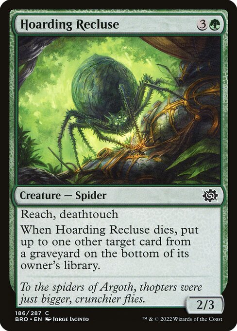 Hoarding Recluse - The Brothers' War - 186