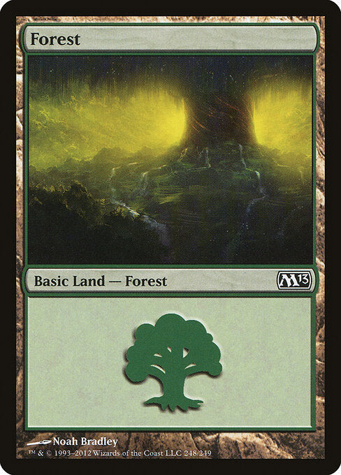 Forest - Magic 2013 - 248