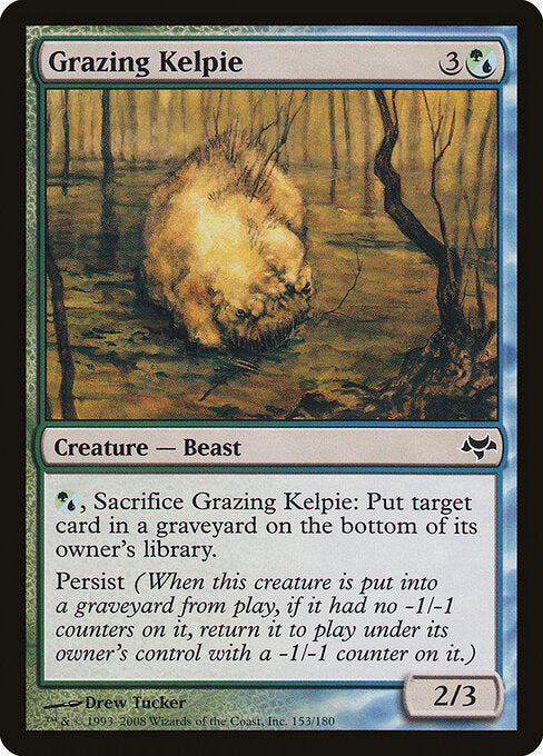 Grazing Kelpie - Eventide - 153