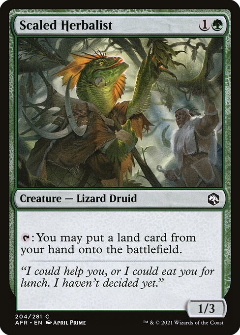 Scaled Herbalist - Adventures in the Forgotten Realms - 204
