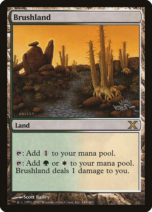 Brushland - Tenth Edition - 349