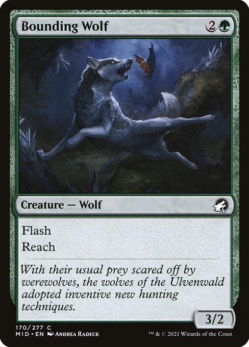 Bounding Wolf - Innistrad: Midnight Hunt - 170