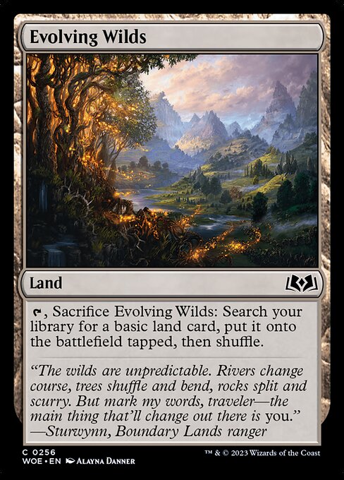 Evolving Wilds - Wilds of Eldraine - 256