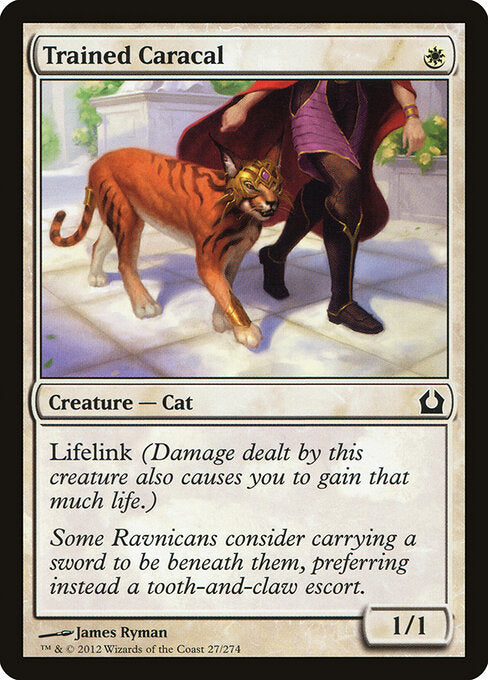 Trained Caracal - Return to Ravnica - 27