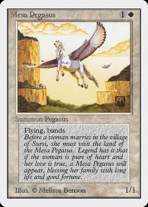 Mesa Pegasus - Unlimited Edition - 29