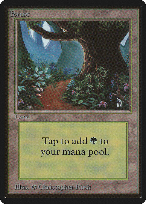 Forest - Limited Edition Beta - 301
