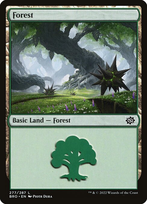 Forest - The Brothers' War - 277