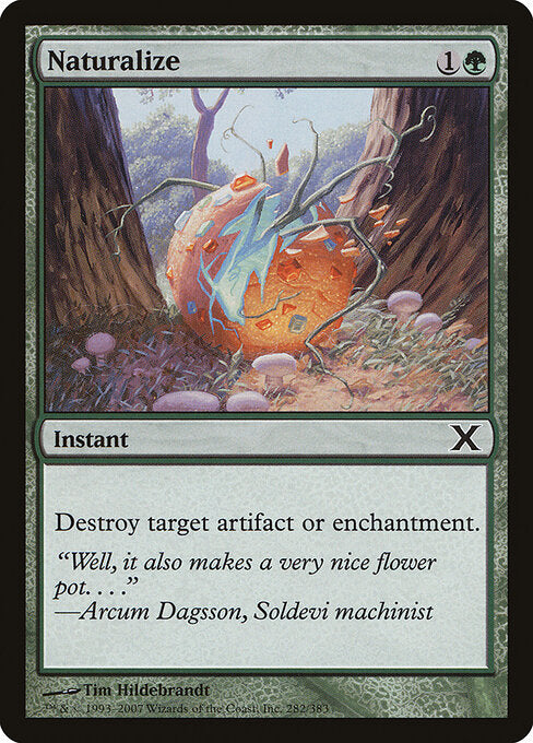 Naturalize - Tenth Edition - 282