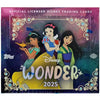 Disney Wonder Hobby Box (Topps 2025)