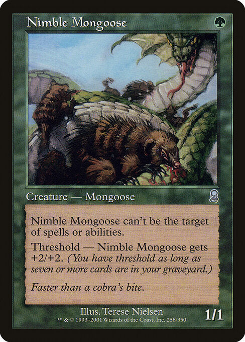 Nimble Mongoose - Odyssey - 258