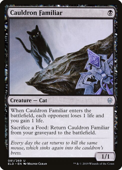 Cauldron Familiar - Throne of Eldraine - 81