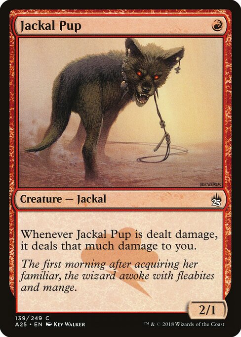 Jackal Pup - Masters 25 - 139