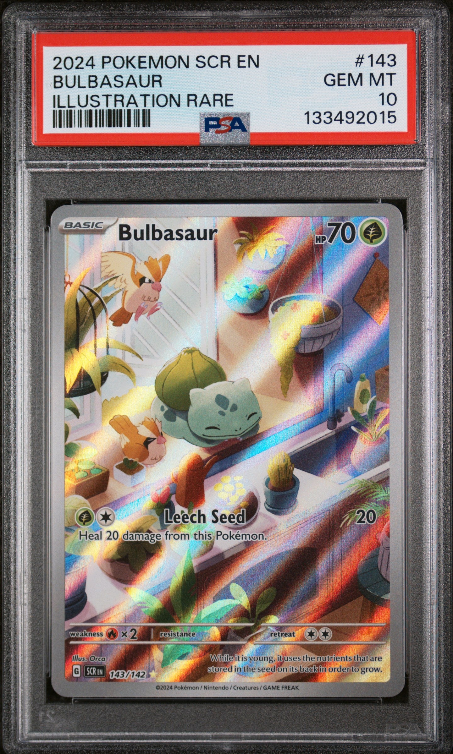 BULBASAUR ILLUSTRATION RARE 2024 POKEMON SCR EN-STELLAR CROWN PSA GEM MT 10