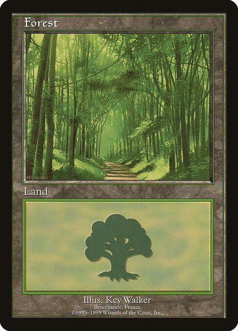 Forest - European Land Program - 6