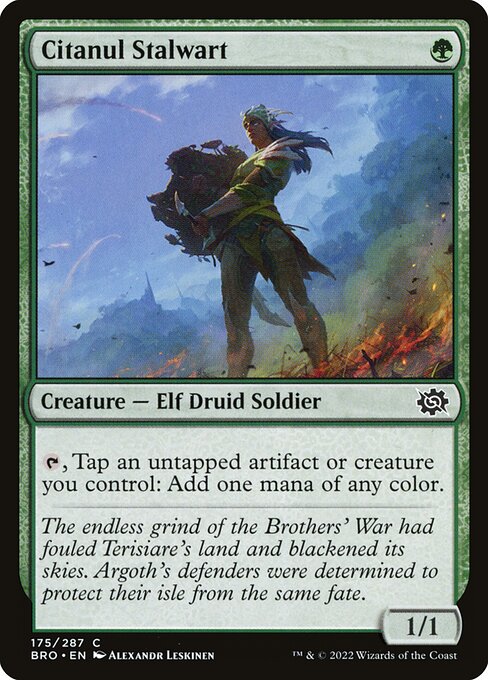 Citanul Stalwart - The Brothers' War - 175