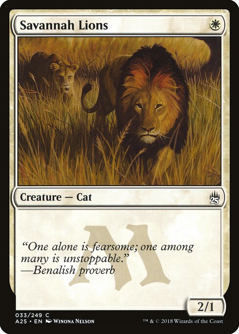 Savannah Lions - Masters 25 - 33