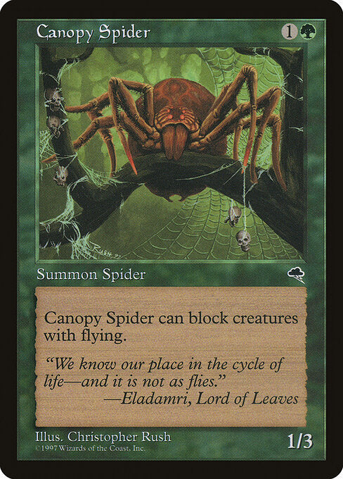 Canopy Spider - Tempest - 217