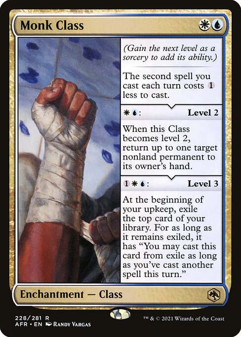 Monk Class - Adventures in the Forgotten Realms - 228