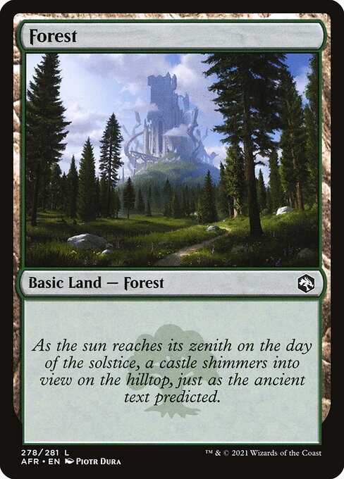 Forest - Adventures in the Forgotten Realms - 278