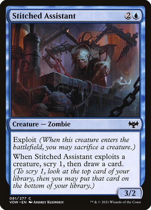 Stitched Assistant - Innistrad: Crimson Vow - 81