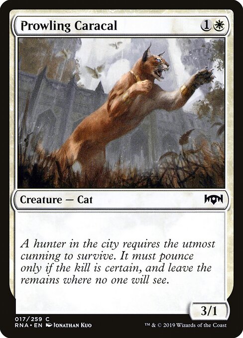 Prowling Caracal - Ravnica Allegiance - 17