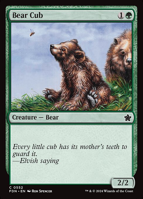 Bear Cub - Foundations - 552