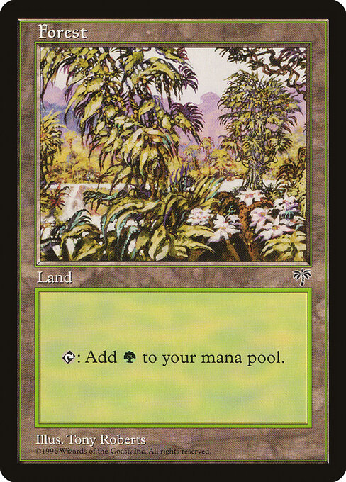 Forest - Mirage - 349