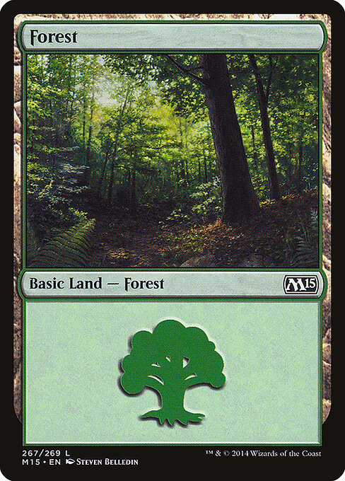 Forest - Magic 2015 - 267