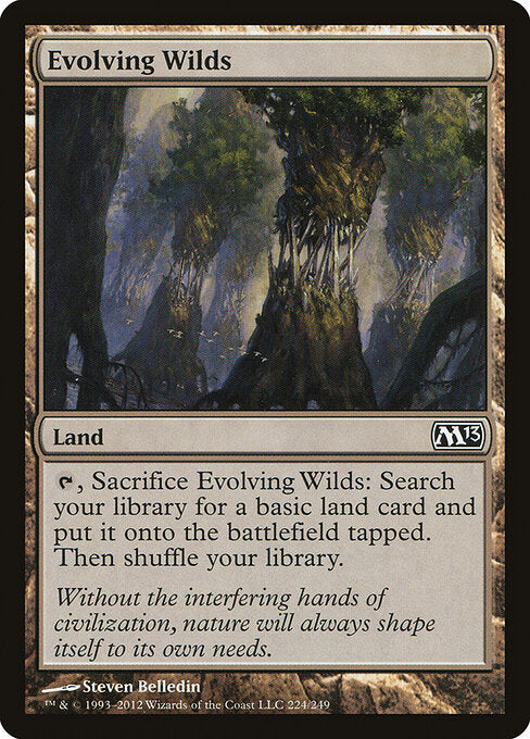 Evolving Wilds - Magic 2013 - 224