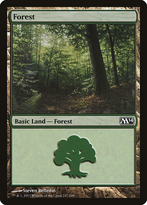 Forest - Magic 2014 - 247