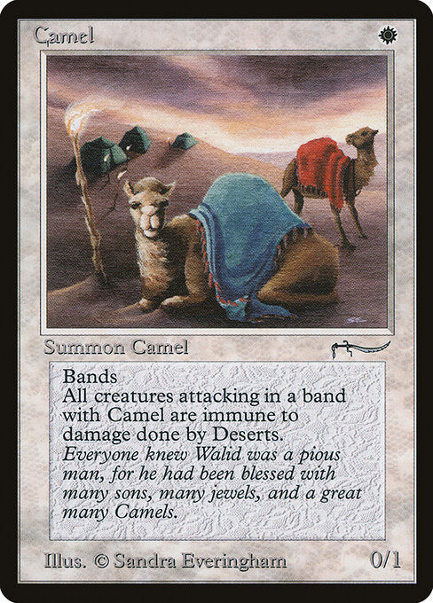 Camel - Arabian Nights - 3