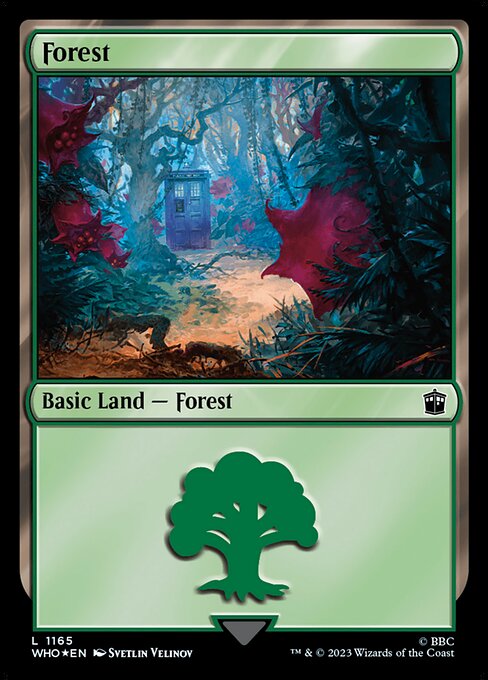 Forest - Doctor Who - 1165