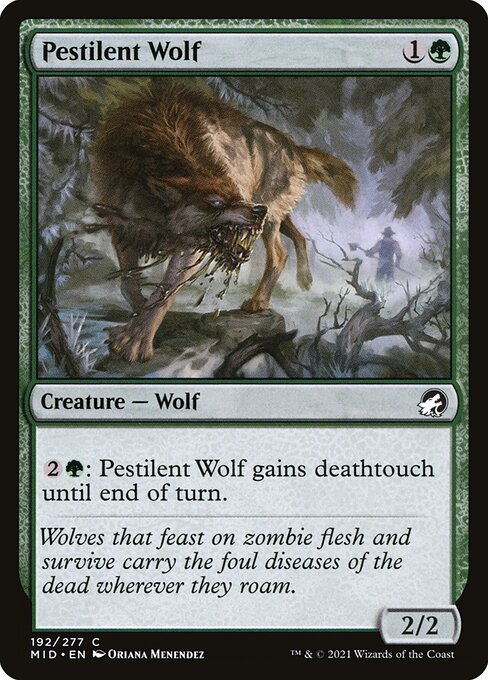 Pestilent Wolf - Innistrad: Midnight Hunt - 192