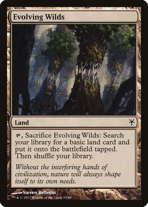Evolving Wilds - Duel Decks: Sorin vs. Tibalt - 33
