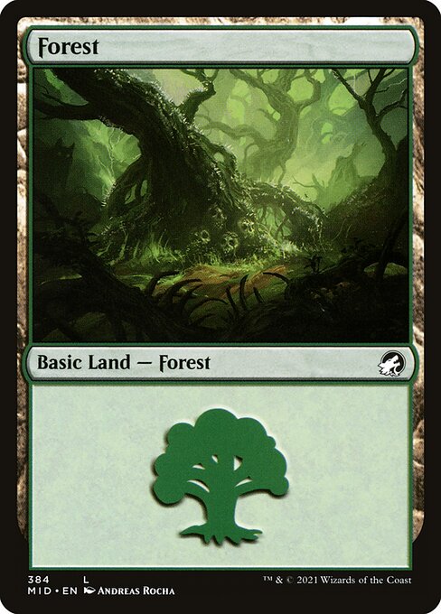 Forest - Innistrad: Midnight Hunt - 384