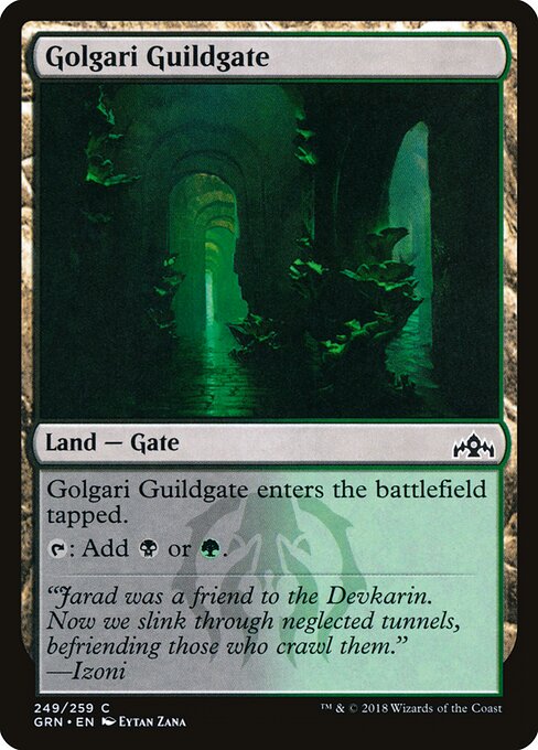 Golgari Guildgate - Guilds of Ravnica - 249