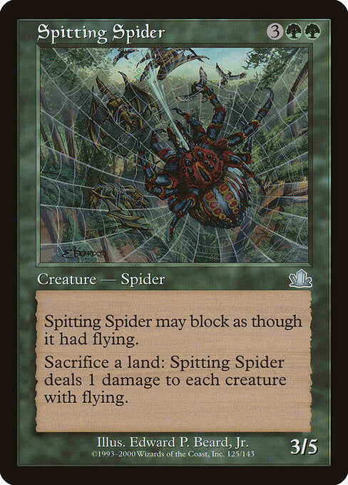Spitting Spider - Prophecy - 125