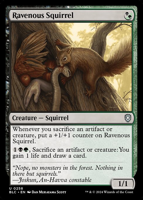 Ravenous Squirrel - Bloomburrow Commander - 258