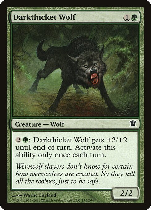 Darkthicket Wolf - Innistrad - 175