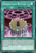 Prediction Ritual [DLCS-EN087] Common