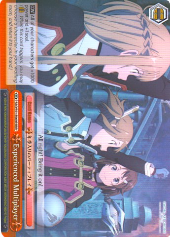 Experienced Multiplayer (SAO/S51-E069 RRR) [Sword Art Online The Movie: -Ordinal Scale-]