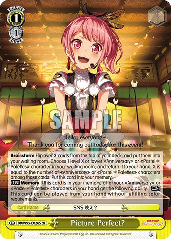 Picture Perfect? [BanG Dream! Girls Band Party! 5th Anniversary]