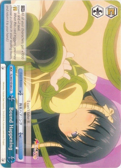 Bound Happening (TL/W37-E100 CR) [To Loveru Darkness 2nd]